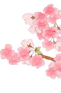 Free Cherry Blossom Vectors Download PNG images