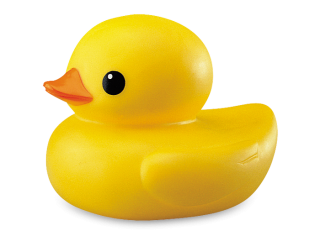 Duck Transparent Hd Png Background PNG images