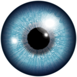 Eye PNG, Eye Transparent Background - FreeIconsPNG