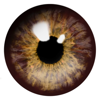 Door Eye PNG Transparent Images Free Download, Vector Files