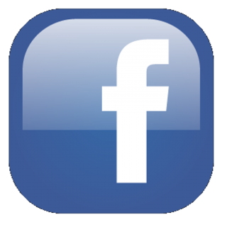 Facebook Icon 2020 Vector