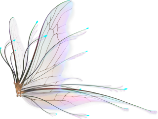 Fairy Wings Png Fairy Wings Transparent Background Freeiconspng