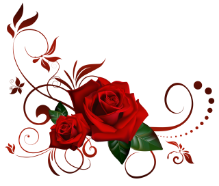 Hoa PNG: Với những hình ảnh hoa PNG tuyệt đẹp, bạn sẽ được chiêm ngưỡng vẻ đẹp tinh tế và sang trọng của những bông hoa hồng, cúc hoa, hoa dã quỳ... Tất cả đều được chụp cận cảnh, đẹp mắt, đẹp lung linh để bạn thỏa sức sáng tạo.