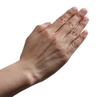 Fanboy Hands In Side transparent PNG - StickPNG