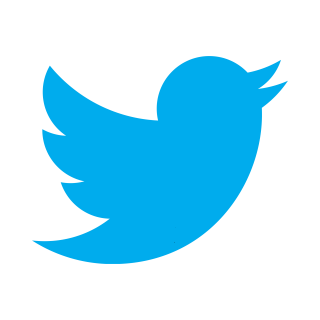 twitter bird icon transparent background