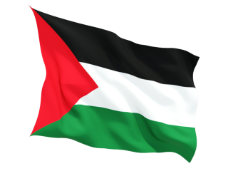 Palestine Flag PNG, Palestine Flag Transparent Background - FreeIconsPNG