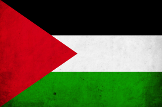 Palestine 3D Rounded Flag with Transparent Background 15271987 PNG