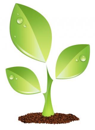 Green leaf illustration, Main Street Wellness Studio Leaf Circle Plant stem  Logo, circle, grass, flower png | PNGEgg