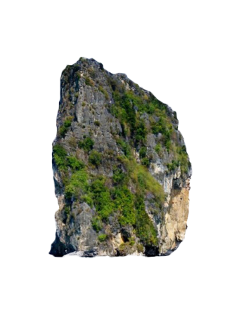 Download The Rock Transparent Image HQ PNG Image