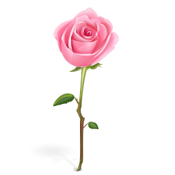 Rose Icon Transparent Rose Png Images Vector Freeiconspng