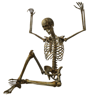 Skeleton PNG, Skeleton Transparent Background - FreeIconsPNG