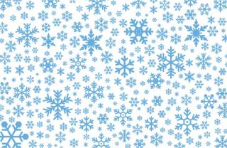 falling snowflake pictures