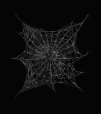 spider web png transparent background