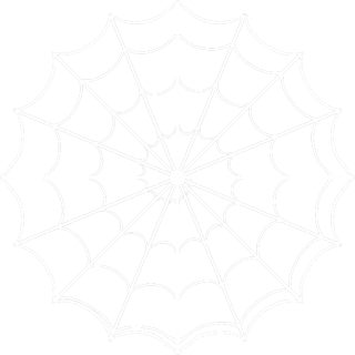 white spider web png