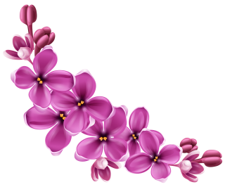 list of spring flowers