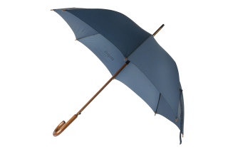 Umbrella PNG, Umbrella Transparent Background - FreeIconsPNG