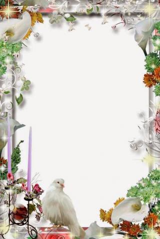 Wedding Frame PNG, Wedding Frame Transparent Background - FreeIconsPNG