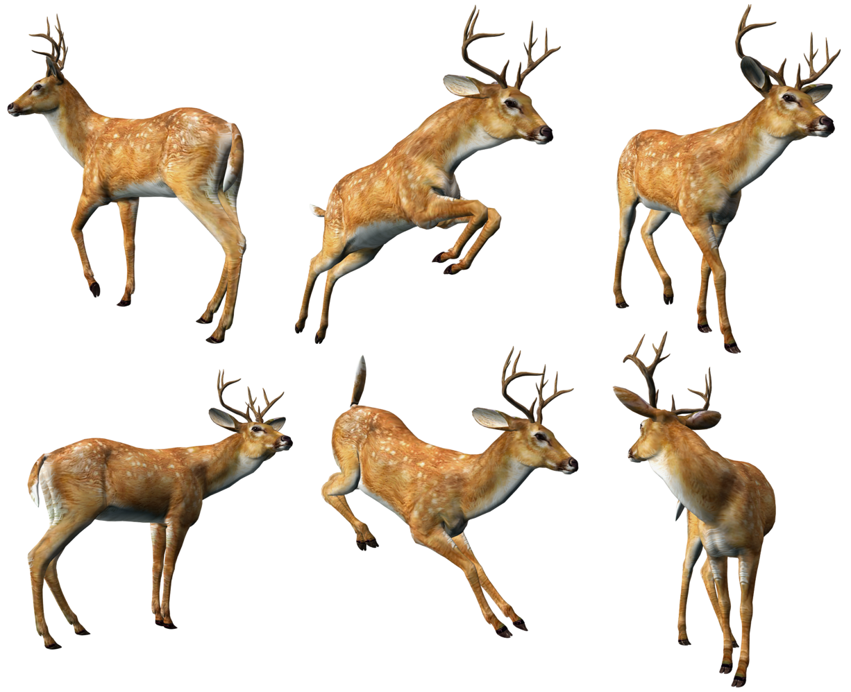 3d deer animal png #22314 - Free Icons and PNG Backgrounds