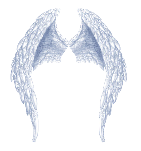 angel wings png clipart preschool