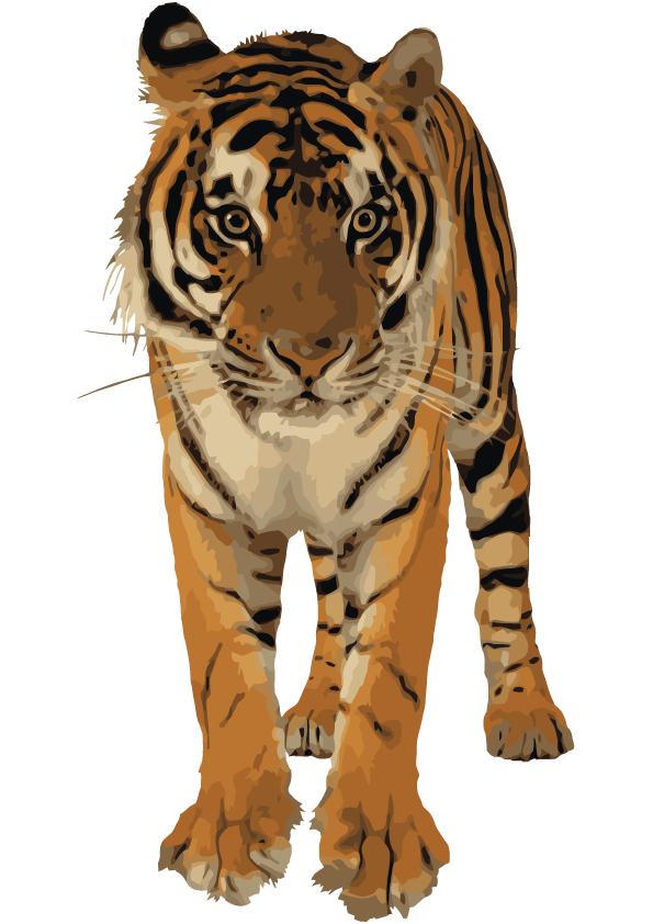 Clipart Best Tiger Png Transparent Background Free Download 39200