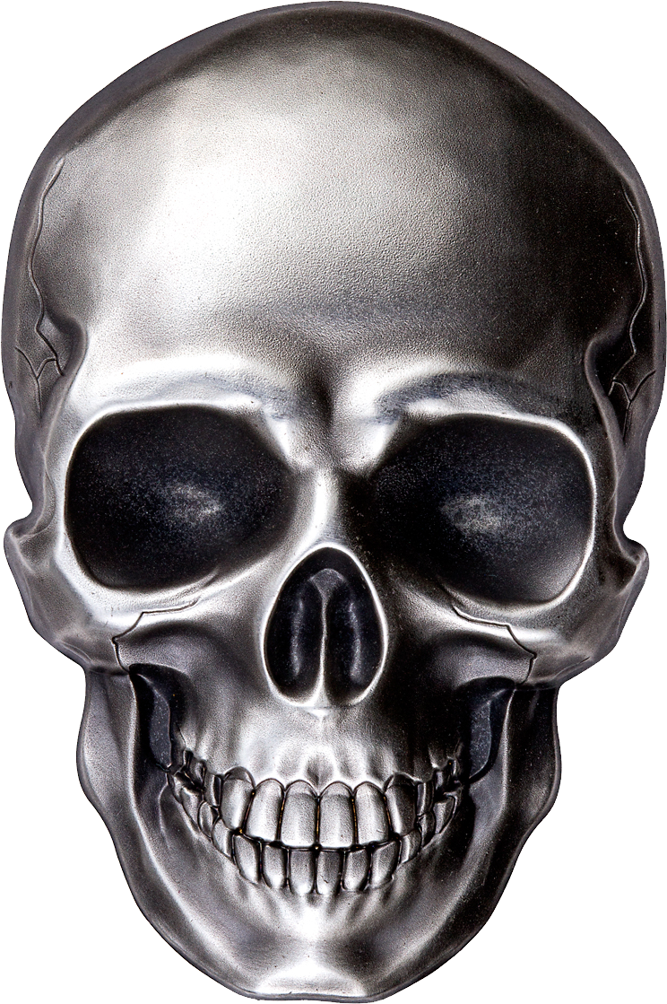 Skull Transparent PNG Pictures - Free Icons and PNG ...