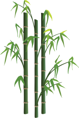 Bamboo tree png #40476 - Free Icons and PNG Backgrounds