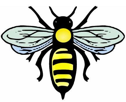 Bee Vector PNG Transparent Background, Free Download #29442 - FreeIconsPNG