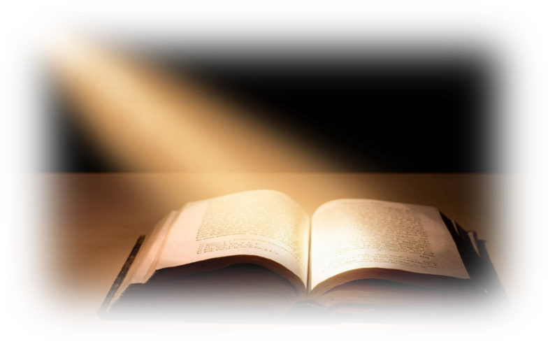 Bible PNG, Bible Transparent Background - FreeIconsPNG