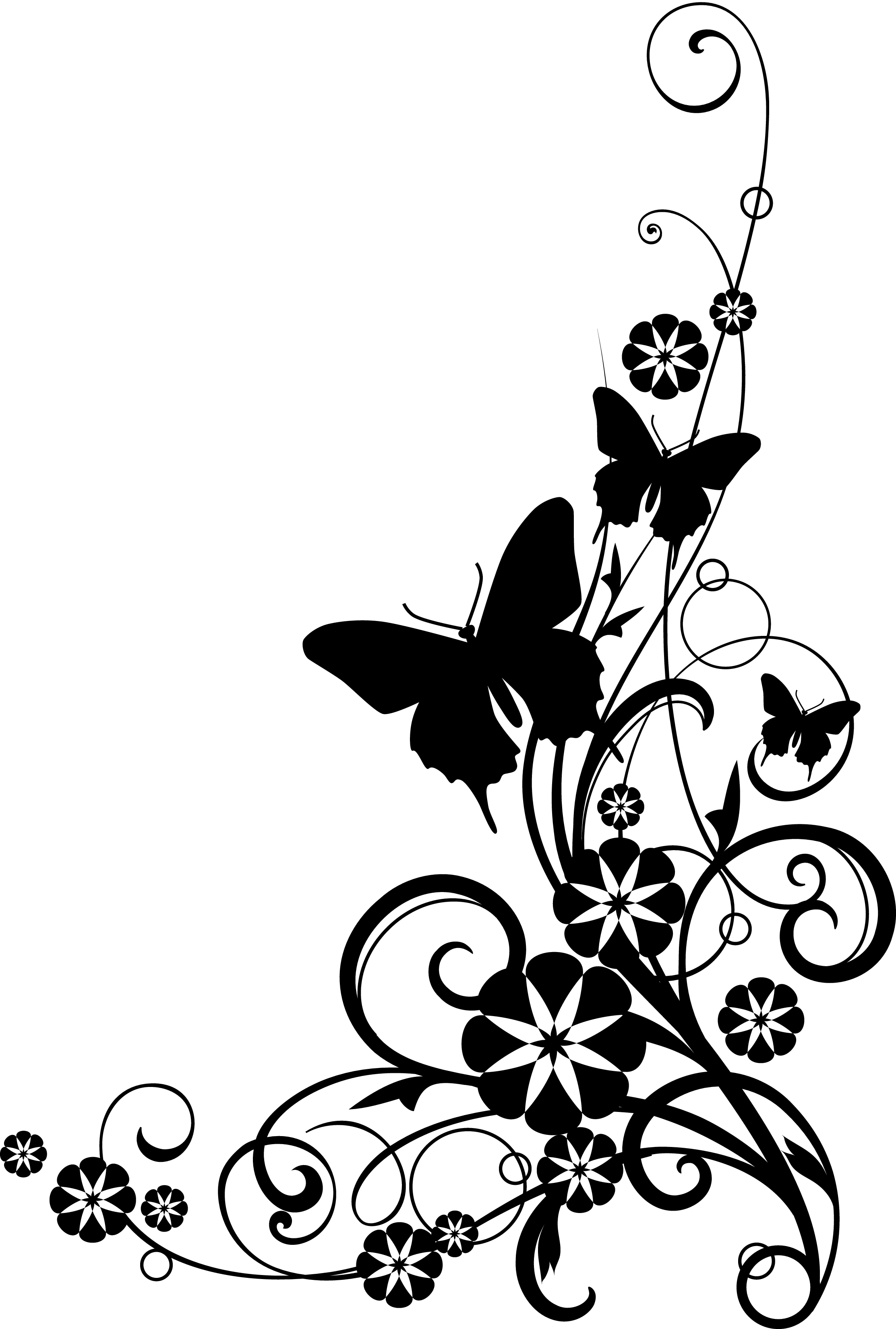 Black and white flower border clipart #41803 - Free Icons and PNG