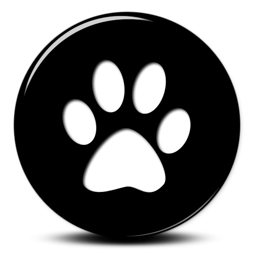Black Cat Icon, Transparent Black Cat.PNG Images & Vector - Free Icons