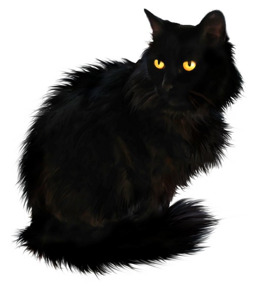 Best Free Black Cat Image PNG Transparent Background, Free Download ...