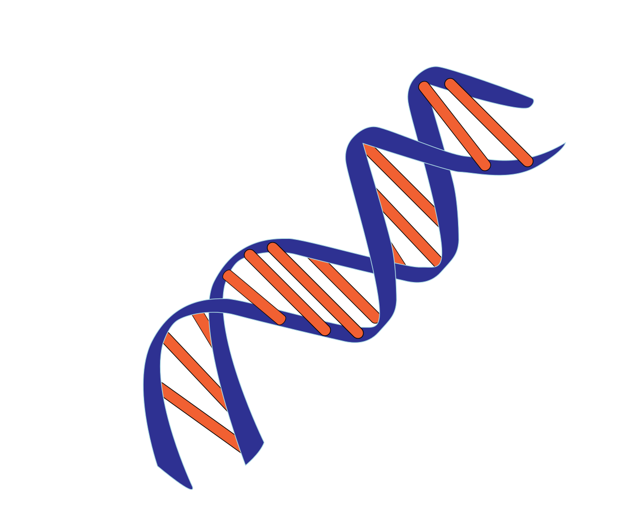Blue And Red Dna Pictures PNG Transparent Background, Free Download
