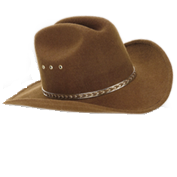 Brown Hat Cowboy Icon PNG Transparent Background, Free Download #7736 ...