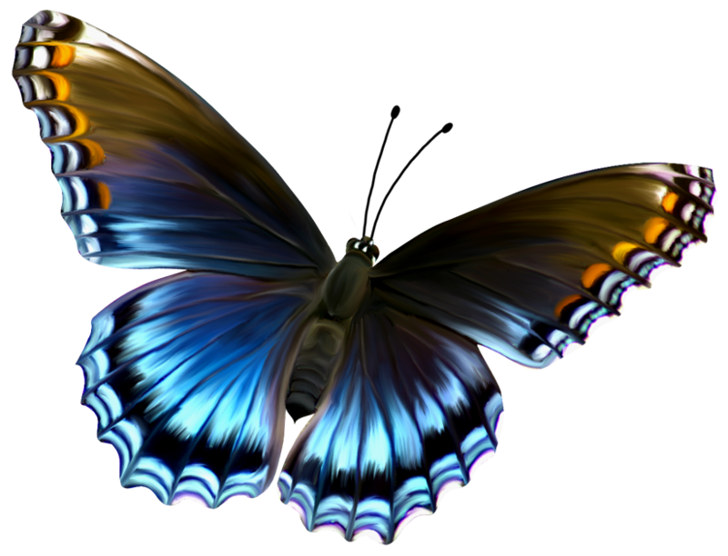 Free Free 133 Transparent Butterfly Svg Free SVG PNG EPS DXF File