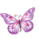 Download Butterfly Svg Free Png Transparent Background Free Download 17696 Freeiconspng 3D SVG Files Ideas | SVG, Paper Crafts, SVG File