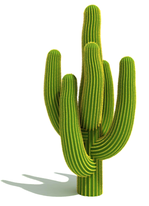 Cactus Download Vector Free Png Transparent Background Free Download 24270 Freeiconspng