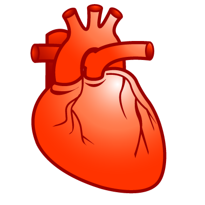 Cardiology Icon, Transparent Cardiology.PNG Images & Vector - FreeIconsPNG