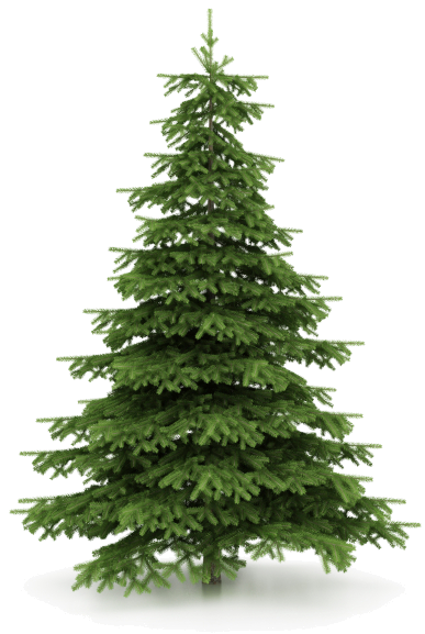 Christmas Tree PNG, Christmas Tree Transparent Background - FreeIconsPNG