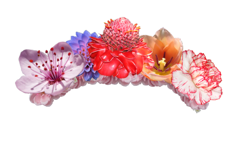 Crown of flowers png #42586 - Free Icons and PNG Backgrounds