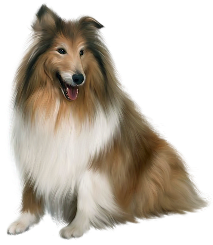 Dog 3d Animal Png Transparent Background Free Download 22323 Freeiconspng