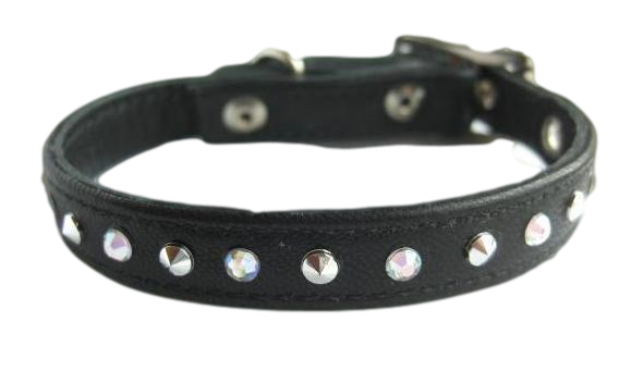 Dog Collar Custom Black Photos PNG Transparent Background, Free ...