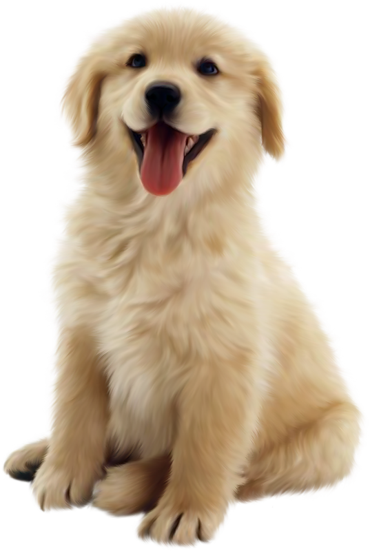 Dog PNG, Dog Transparent Background - FreeIconsPNG