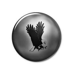 Icon Free Eagle PNG Transparent Background, Free Download #17416 -  FreeIconsPNG