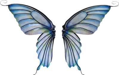 Fairy wings png image #36469 - Free Icons and PNG Backgrounds