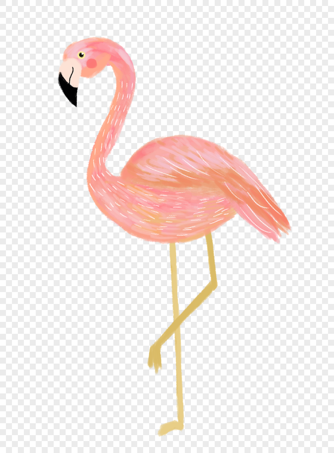 Flamingo Transparent PNG Pictures - Free Icons and PNG Backgrounds