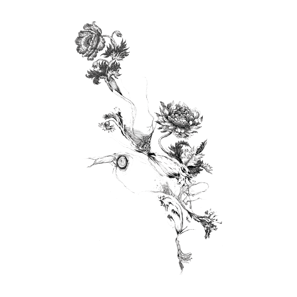 88-transparent-black-and-white-flowers-download-4kpng