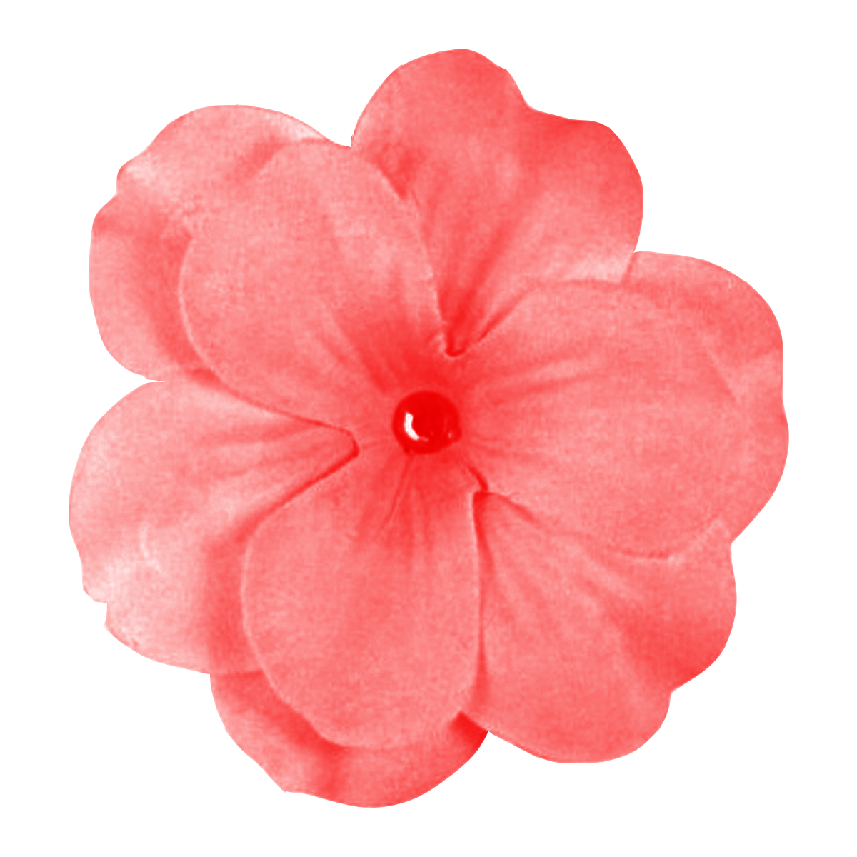 Best Free Flower Image PNG Transparent Background, Free Download #17946