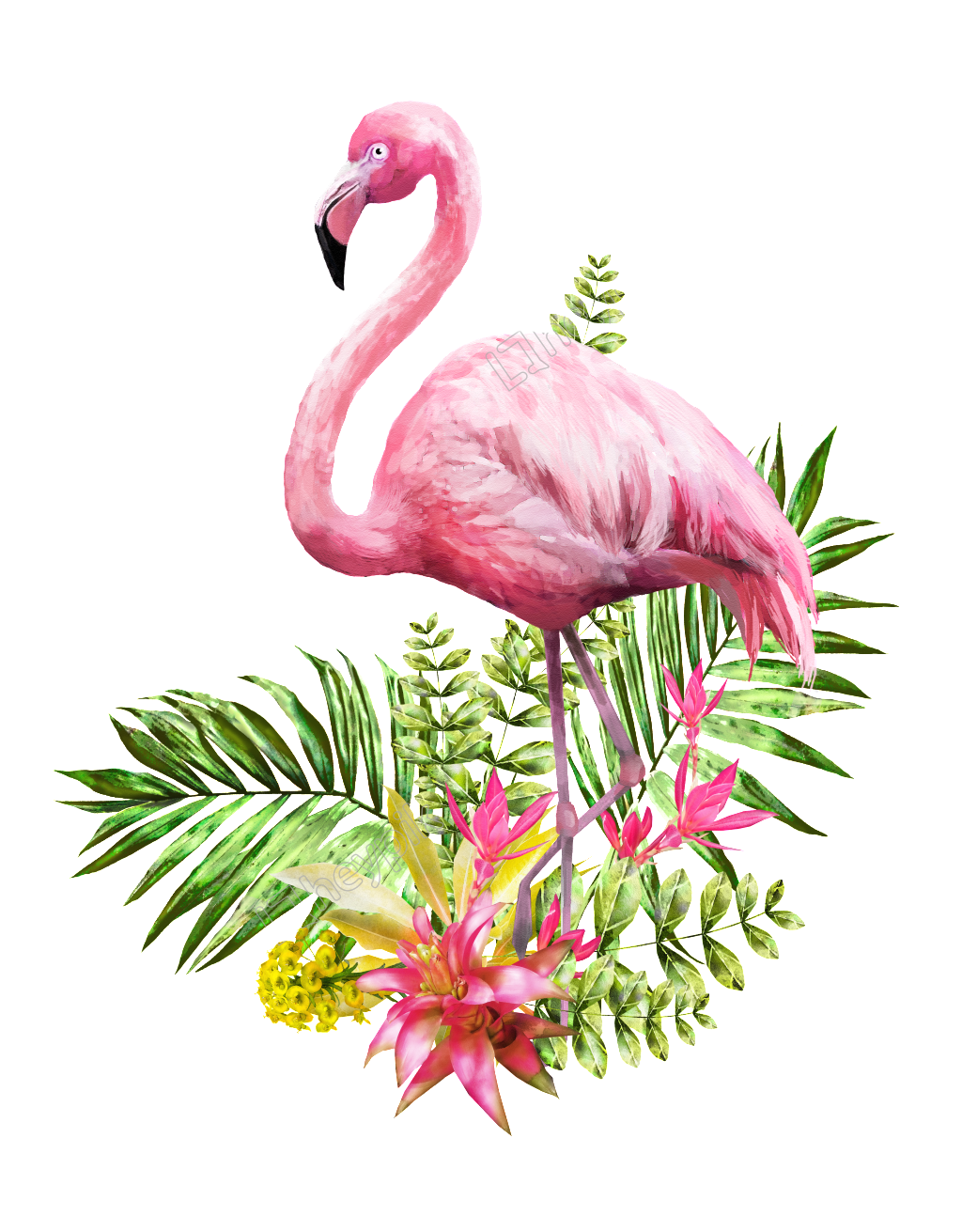 Flamingo Transparent Png Pictures Free Icons And Png Backgrounds