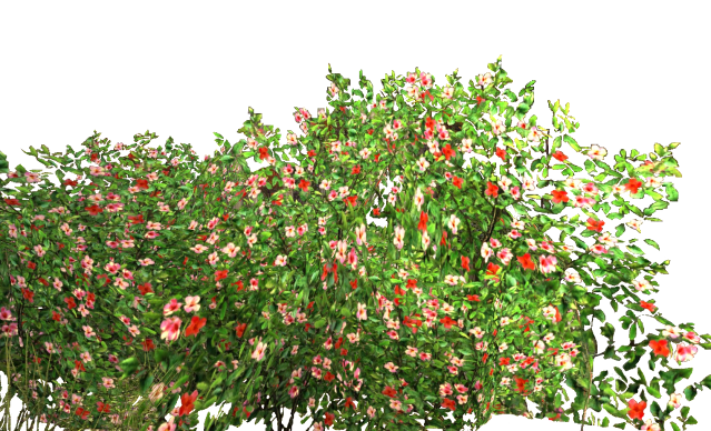 Flowers Garden Bush Png Transparent Background Free Download 2830 Freeiconspng