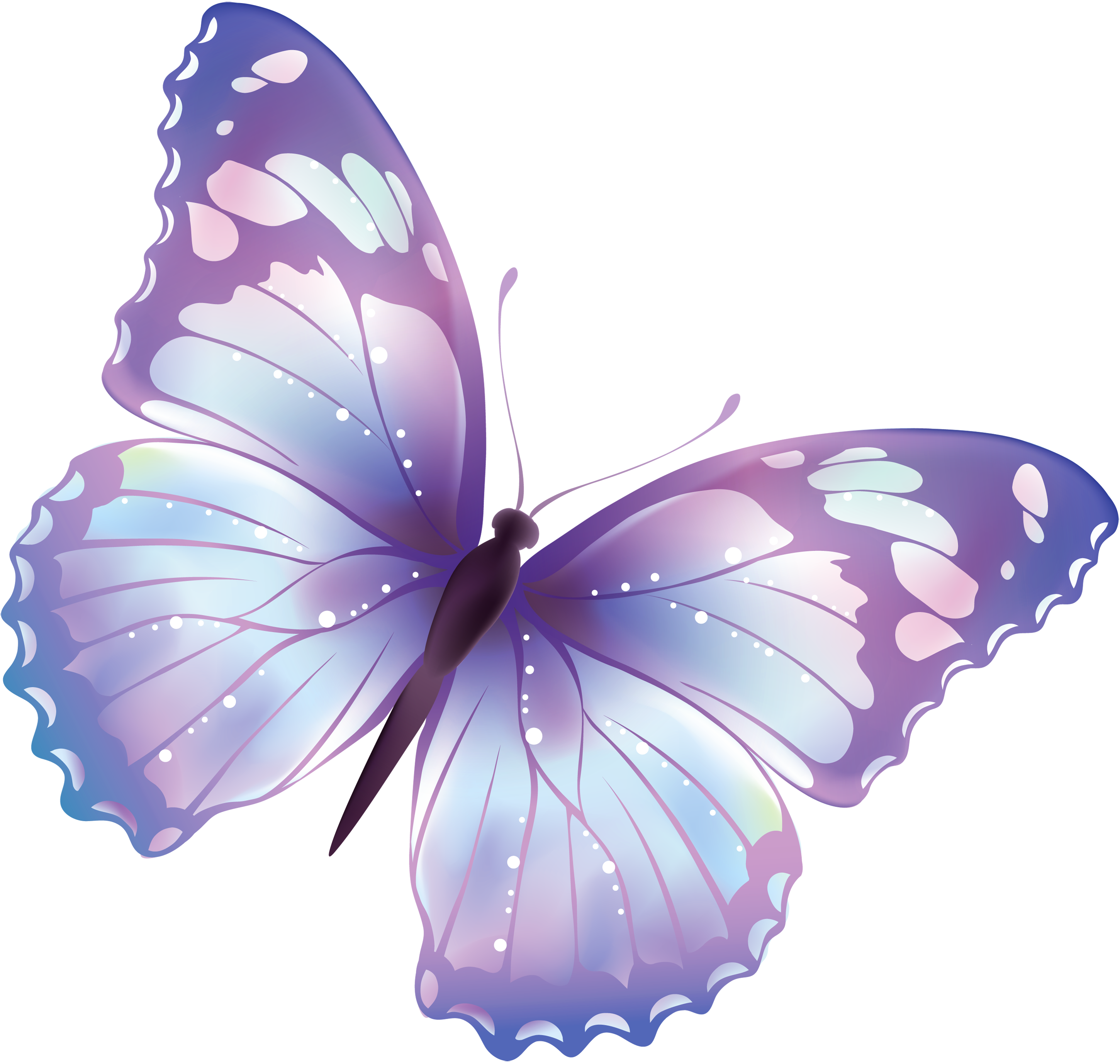 Flying Butterfly Png Transparent Background Free Download 6720 Freeiconspng